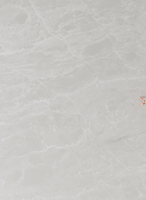 upload/product/cassandrabq67282-3385.png